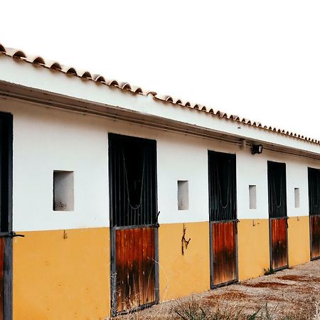 Finca El Cerco A 5M De Puy Du Fou Y 10M A Casco Antiguo De Toledo Villa Argés Dış mekan fotoğraf