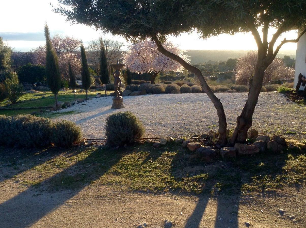 Finca El Cerco A 5M De Puy Du Fou Y 10M A Casco Antiguo De Toledo Villa Argés Dış mekan fotoğraf