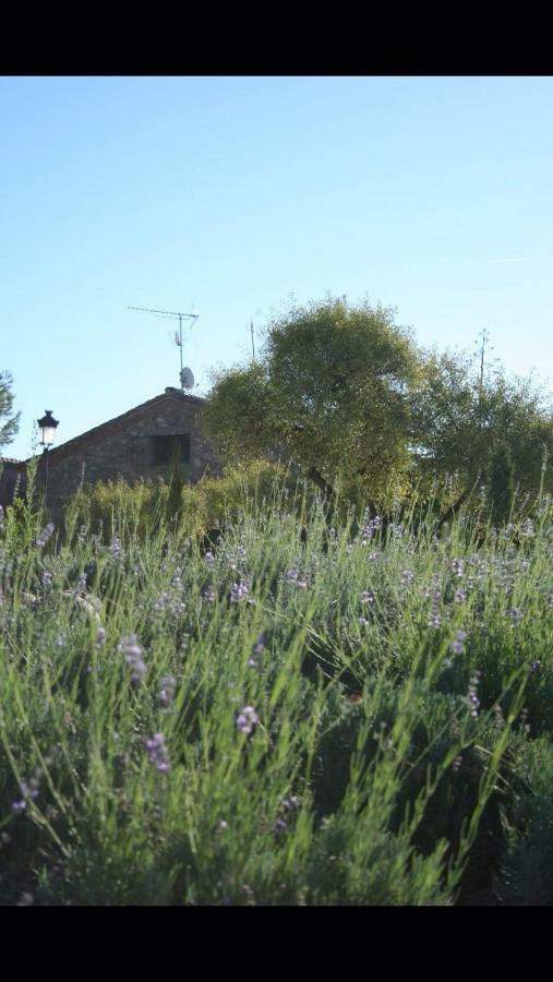 Finca El Cerco A 5M De Puy Du Fou Y 10M A Casco Antiguo De Toledo Villa Argés Dış mekan fotoğraf