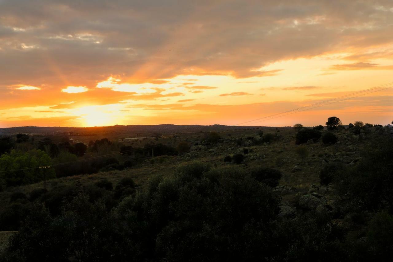 Finca El Cerco A 5M De Puy Du Fou Y 10M A Casco Antiguo De Toledo Villa Argés Dış mekan fotoğraf